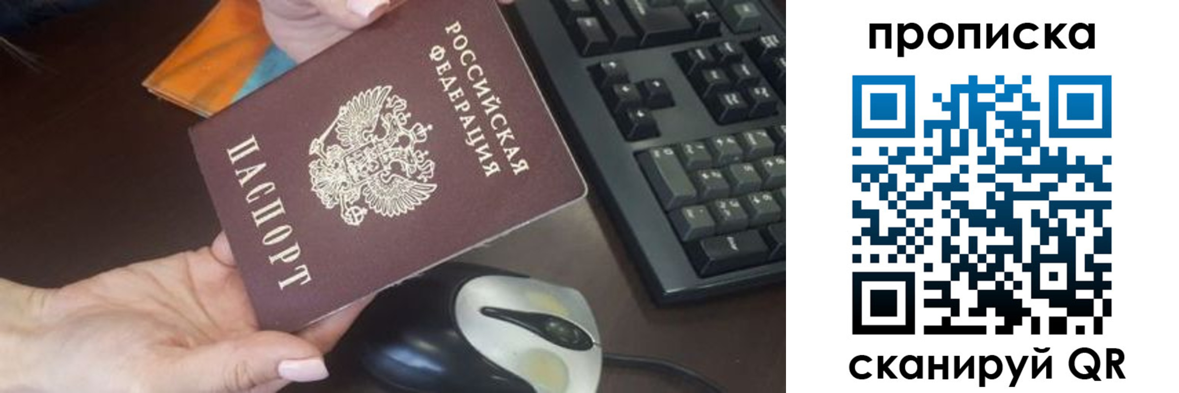 прописка гарантия в Рославле